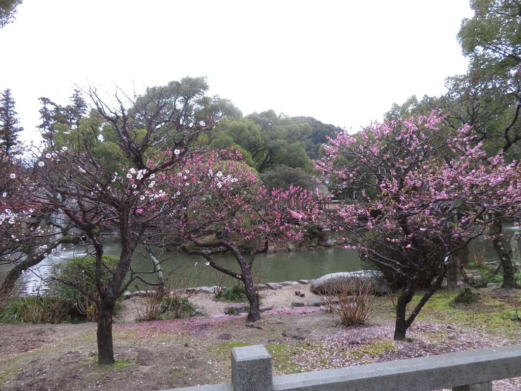 f:id:eiji-chan:20190305175245j:plain