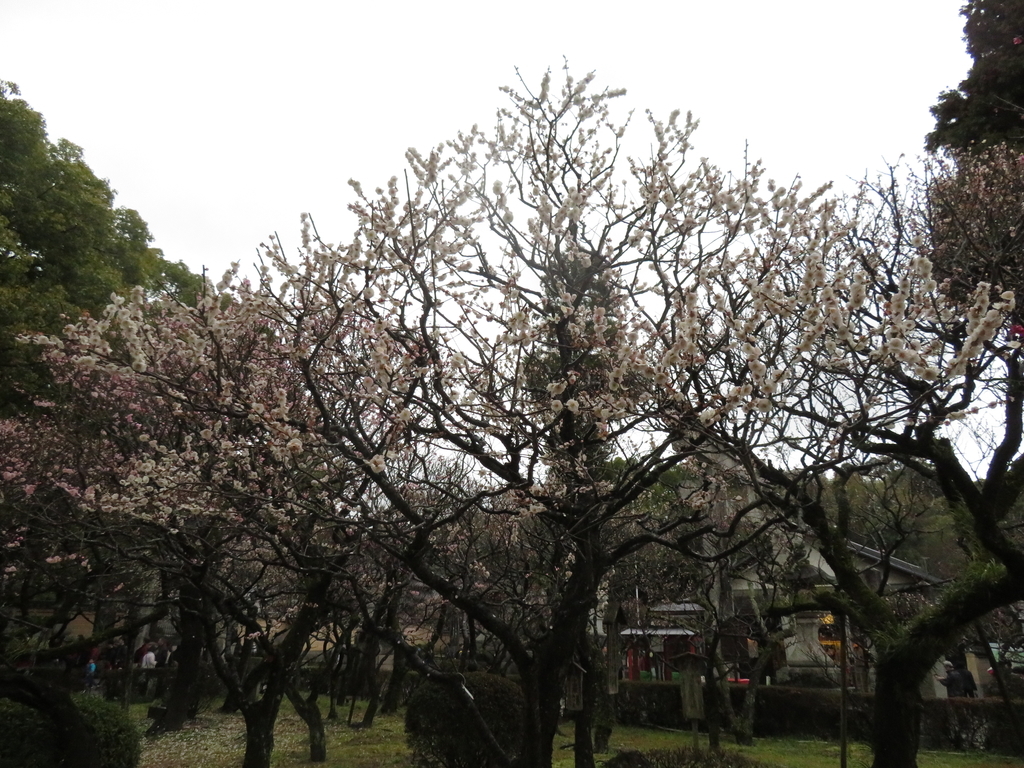 f:id:eiji-chan:20190305175706j:plain