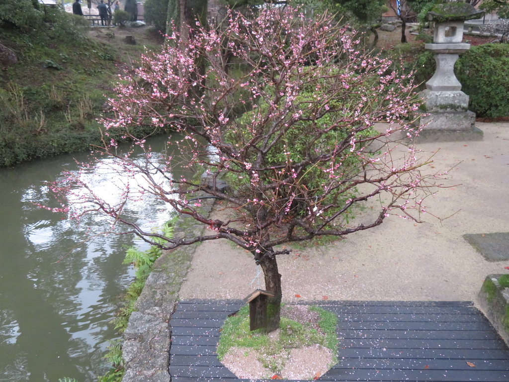 f:id:eiji-chan:20190305180128j:plain
