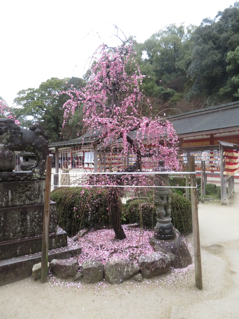 f:id:eiji-chan:20190305180227j:plain