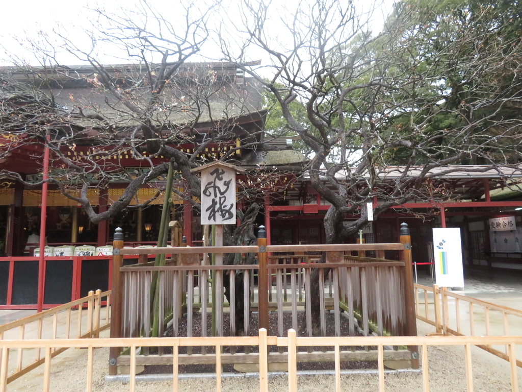 f:id:eiji-chan:20190305180950j:plain