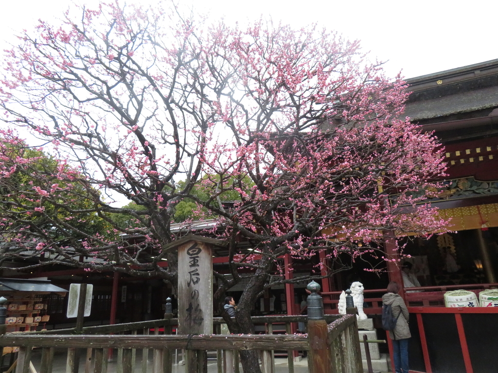 f:id:eiji-chan:20190305181132j:plain