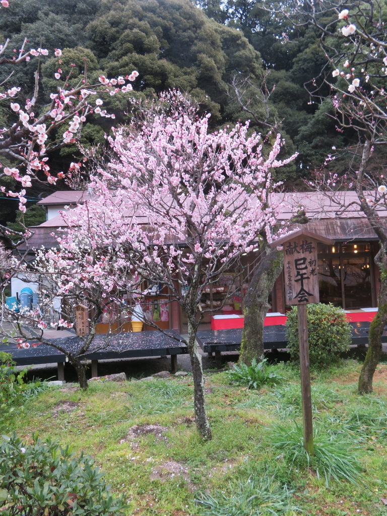 f:id:eiji-chan:20190305181639j:plain