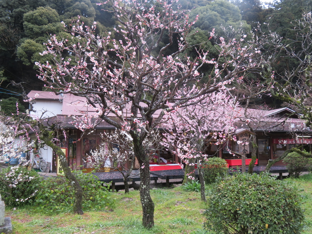 f:id:eiji-chan:20190305181808j:plain