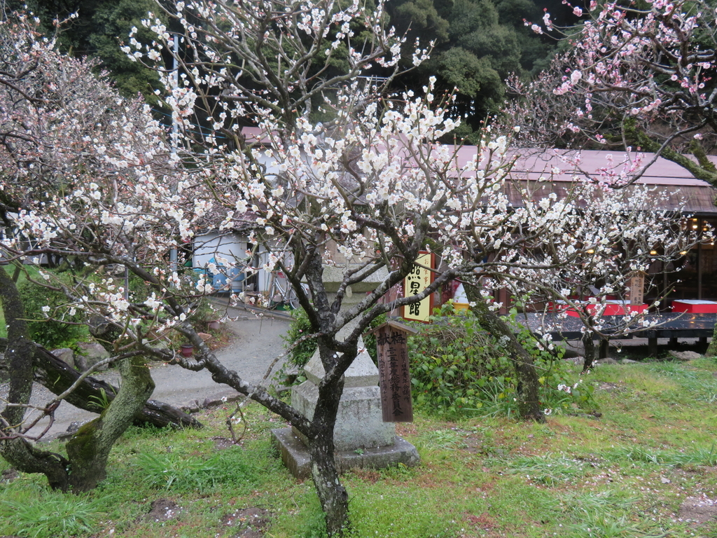 f:id:eiji-chan:20190305181853j:plain