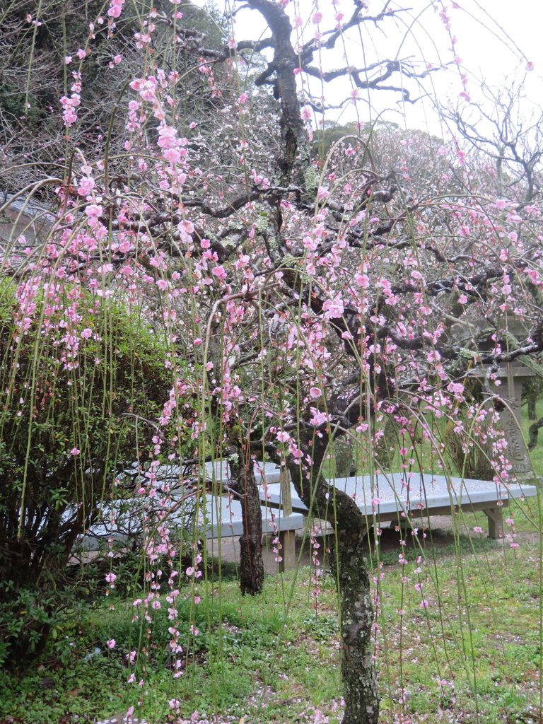 f:id:eiji-chan:20190305182228j:plain