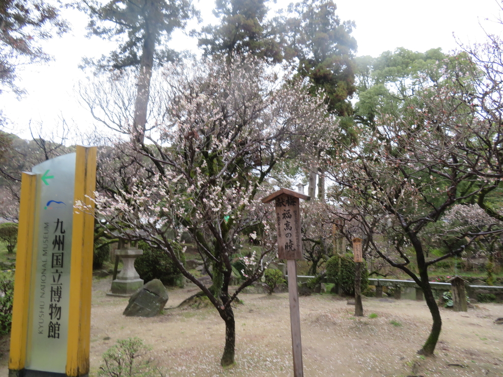 f:id:eiji-chan:20190305182707j:plain