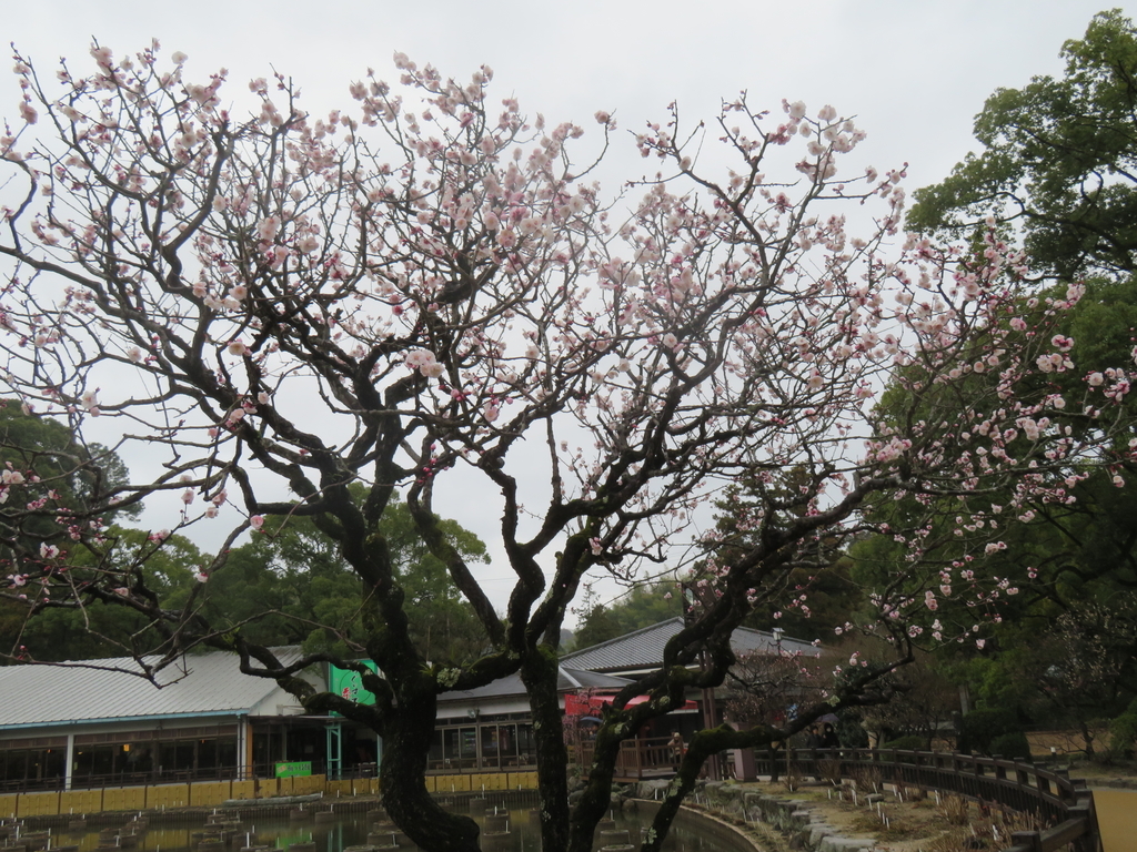 f:id:eiji-chan:20190305182834j:plain