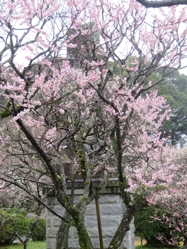 f:id:eiji-chan:20190305183015j:plain
