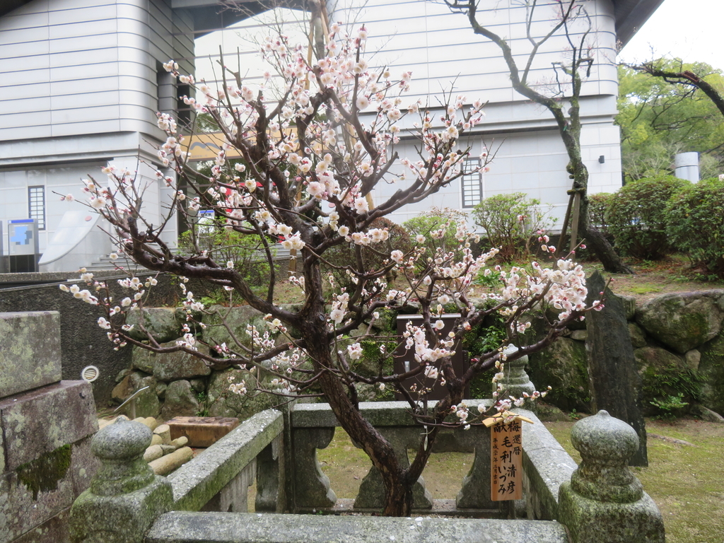 f:id:eiji-chan:20190305183051j:plain