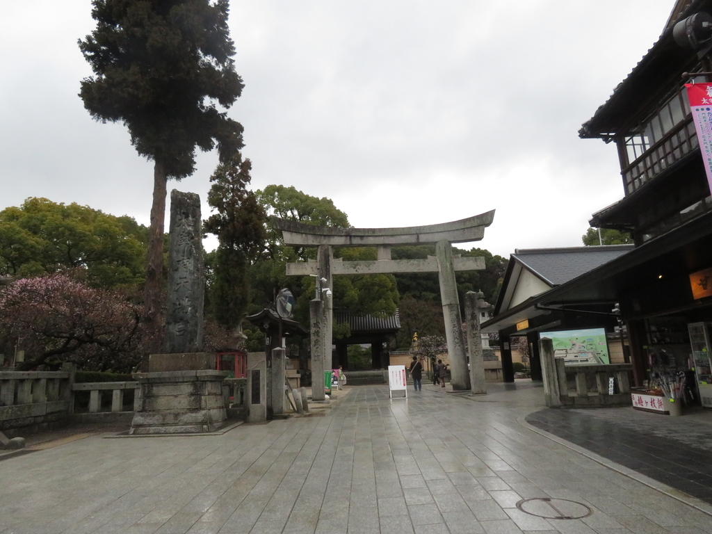 f:id:eiji-chan:20190305184301j:plain