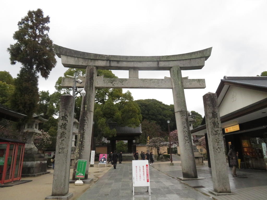 f:id:eiji-chan:20190305184525j:plain