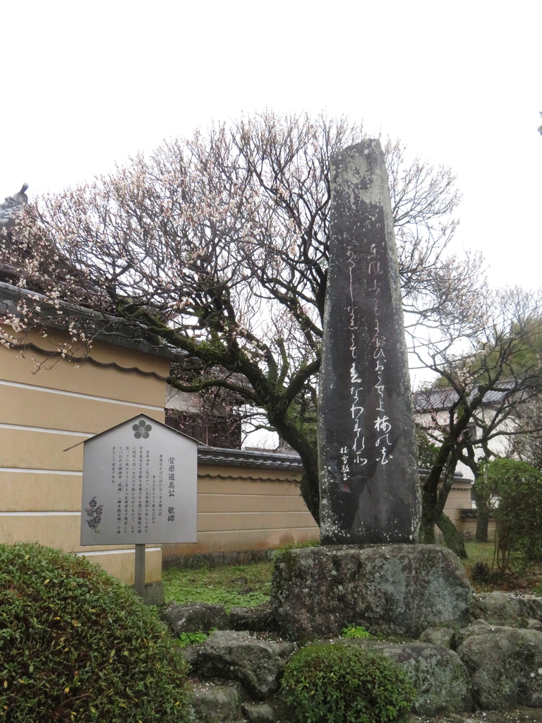 f:id:eiji-chan:20190305193823j:plain