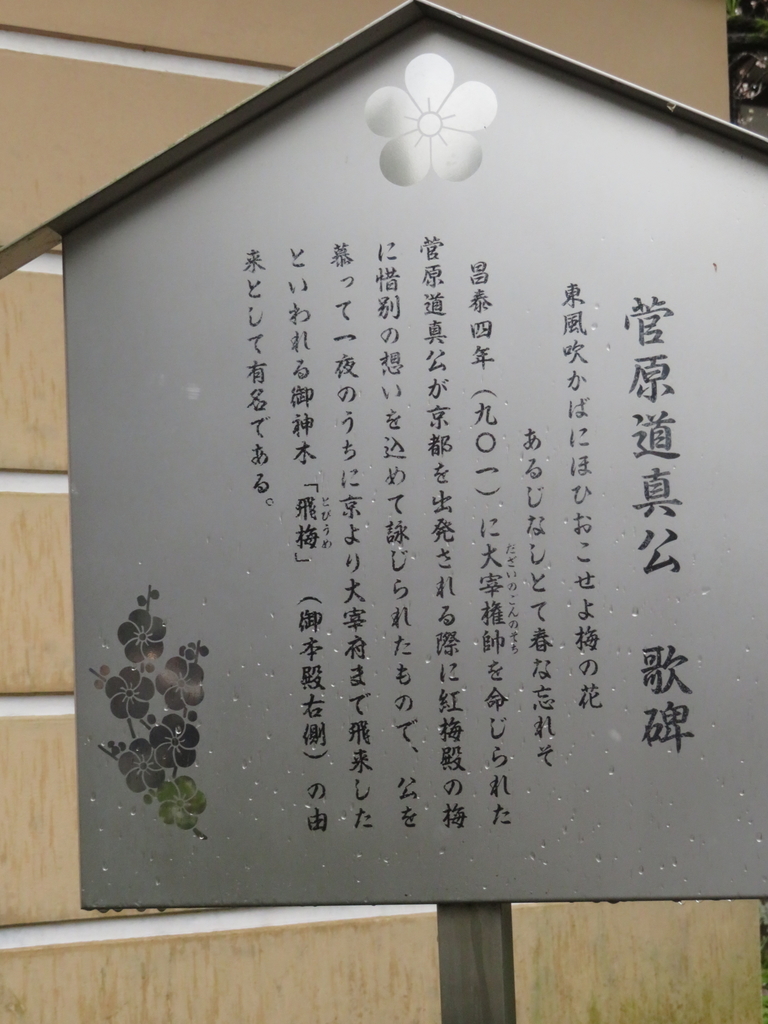f:id:eiji-chan:20190305193945j:plain
