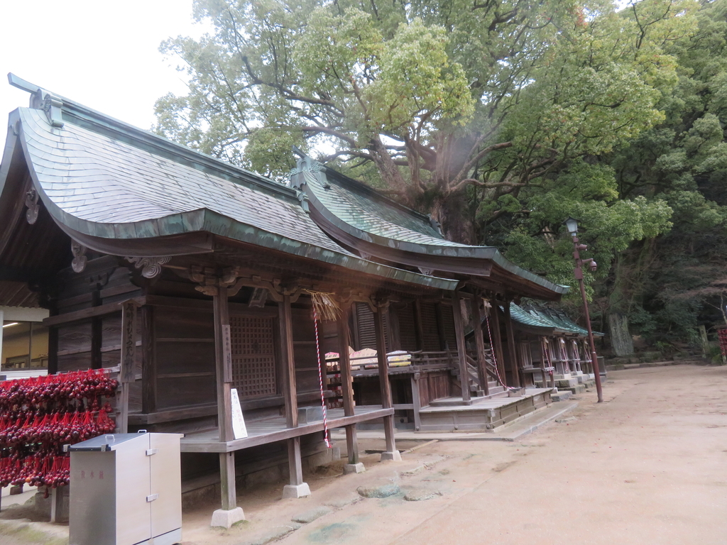 f:id:eiji-chan:20190305195808j:plain