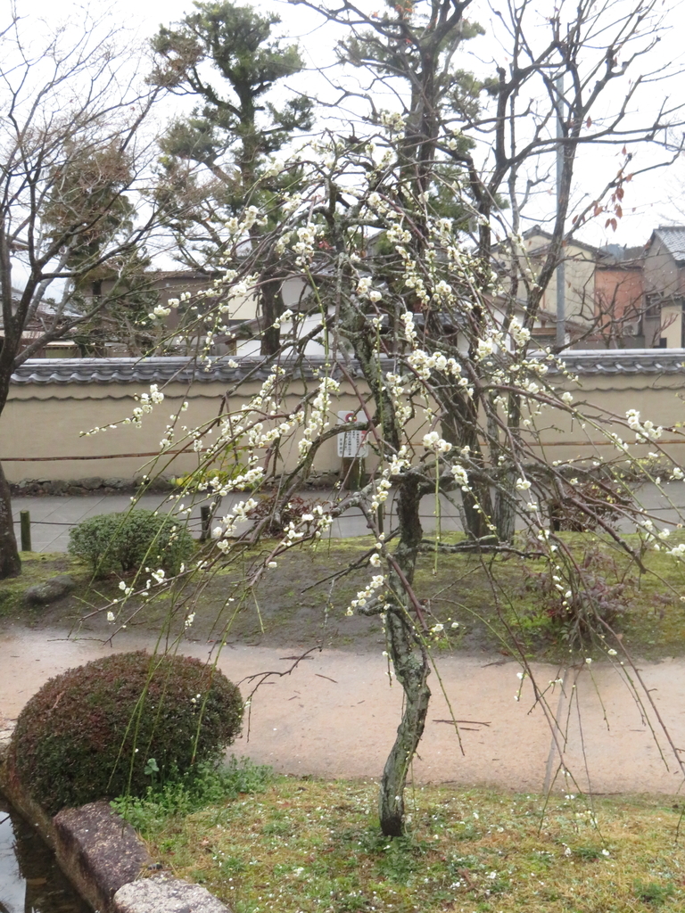 f:id:eiji-chan:20190305200759j:plain