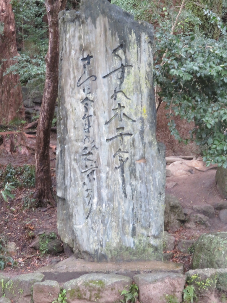 f:id:eiji-chan:20190305203223j:plain