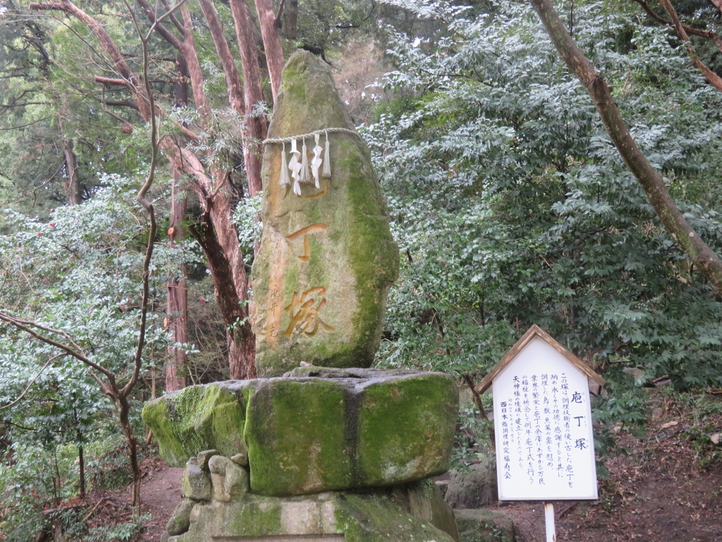 f:id:eiji-chan:20190305203313j:plain