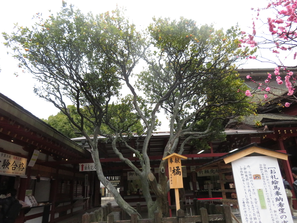 f:id:eiji-chan:20190305203856j:plain