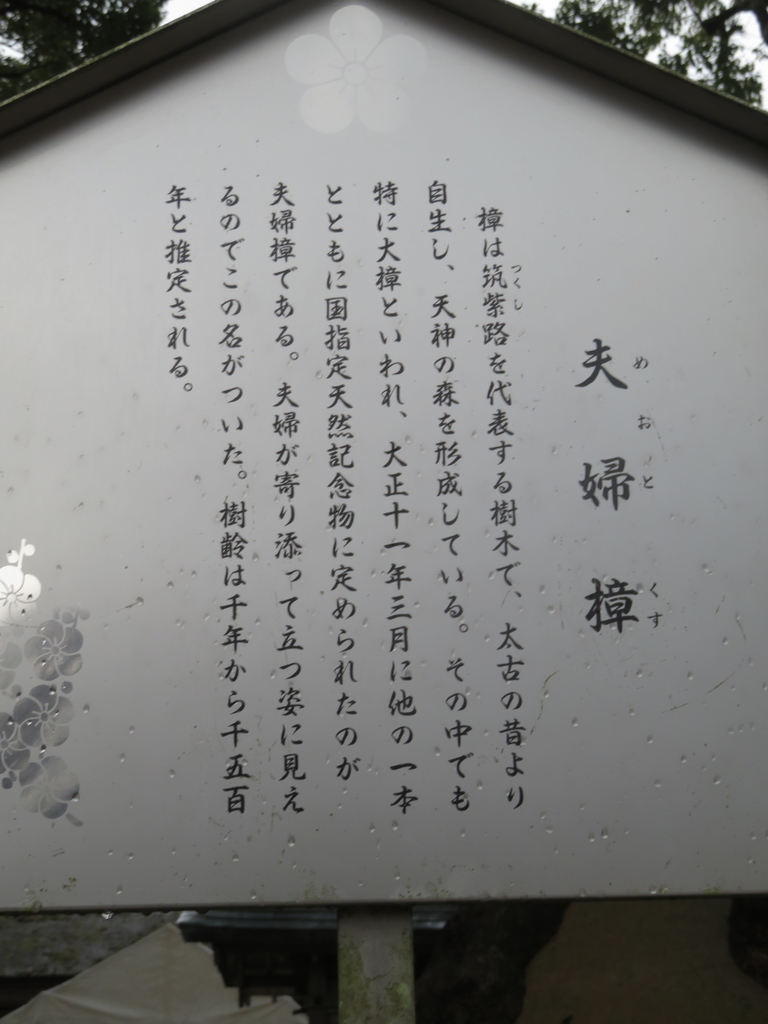 f:id:eiji-chan:20190305204041j:plain