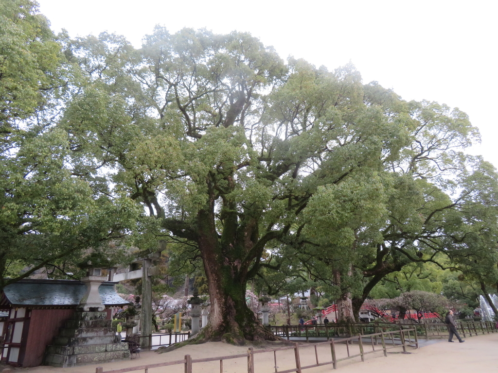 f:id:eiji-chan:20190305204232j:plain