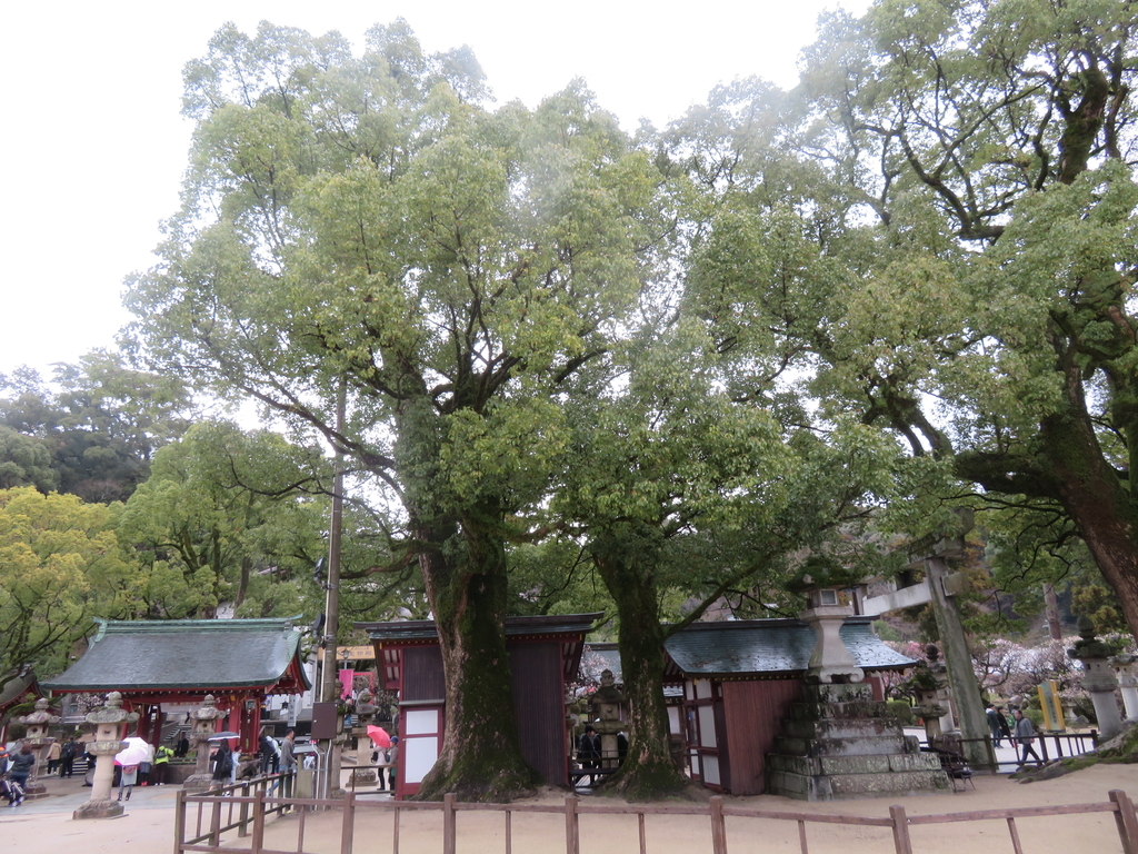 f:id:eiji-chan:20190305204311j:plain