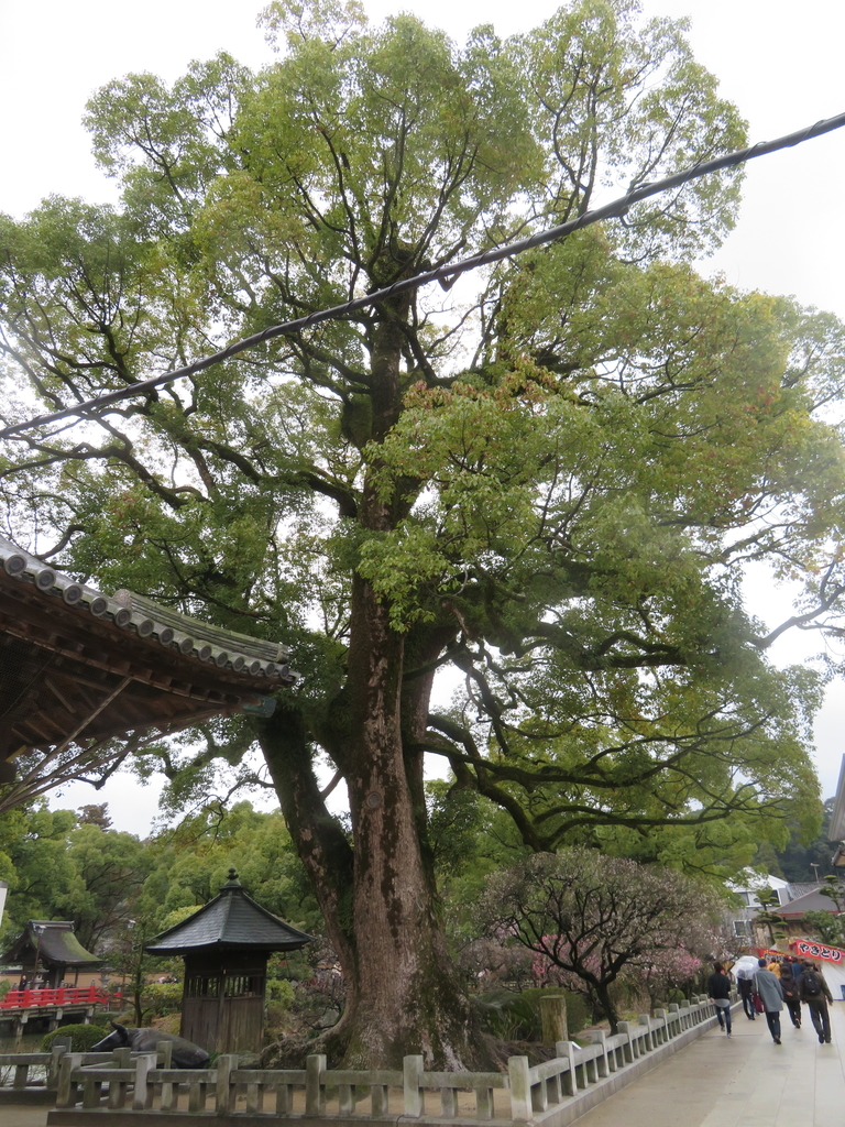 f:id:eiji-chan:20190305204400j:plain