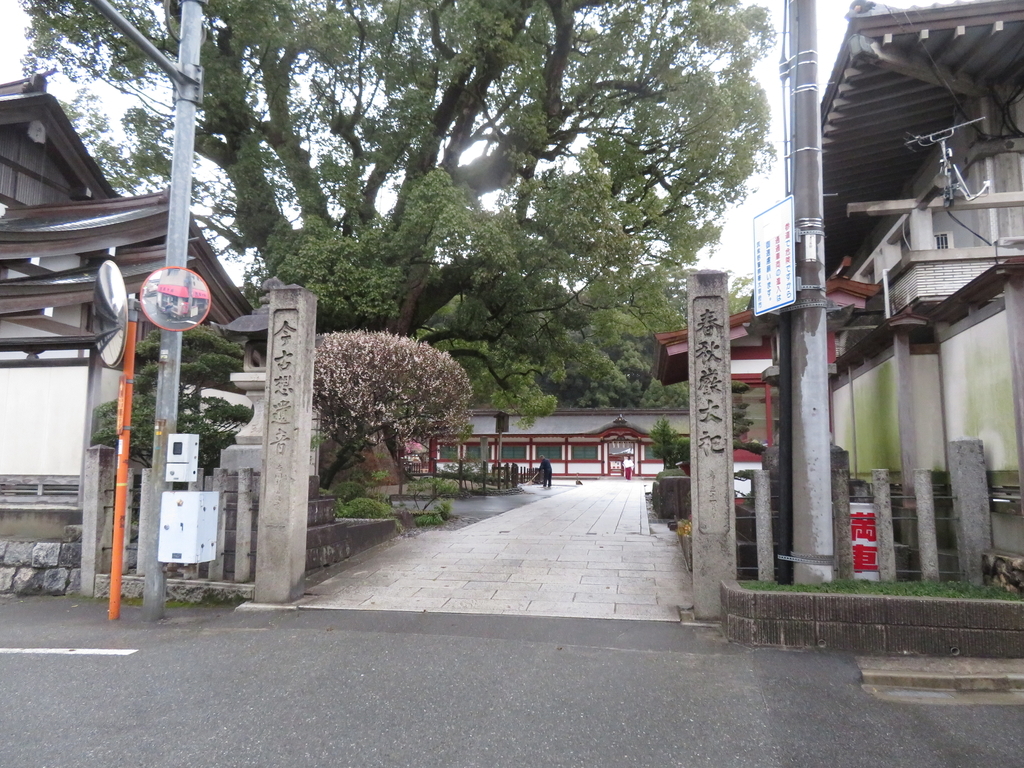 f:id:eiji-chan:20190305204917j:plain