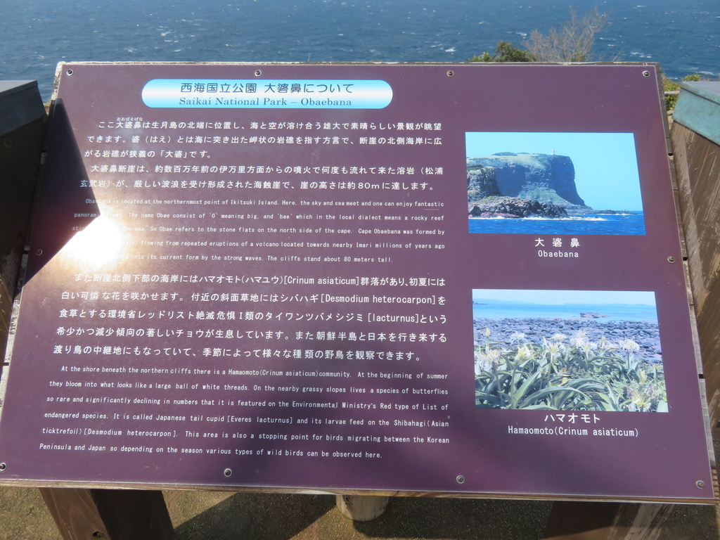 f:id:eiji-chan:20190308111721j:plain f:id:eiji-chan:20190308111721j:plain