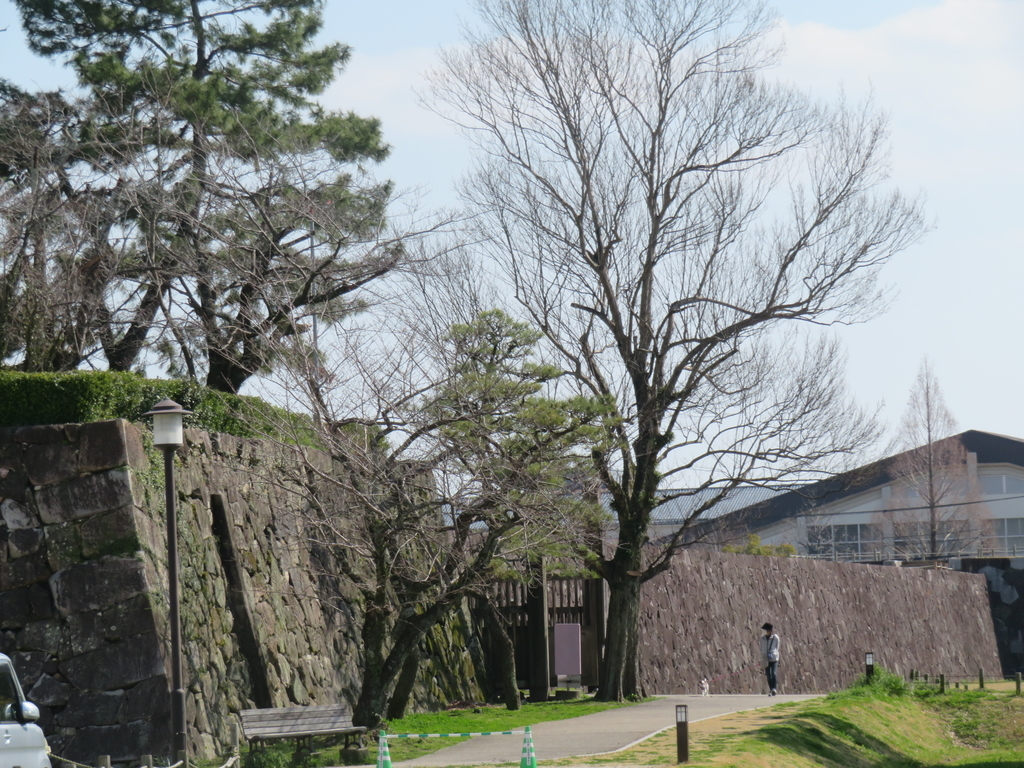 f:id:eiji-chan:20190313124042j:plain