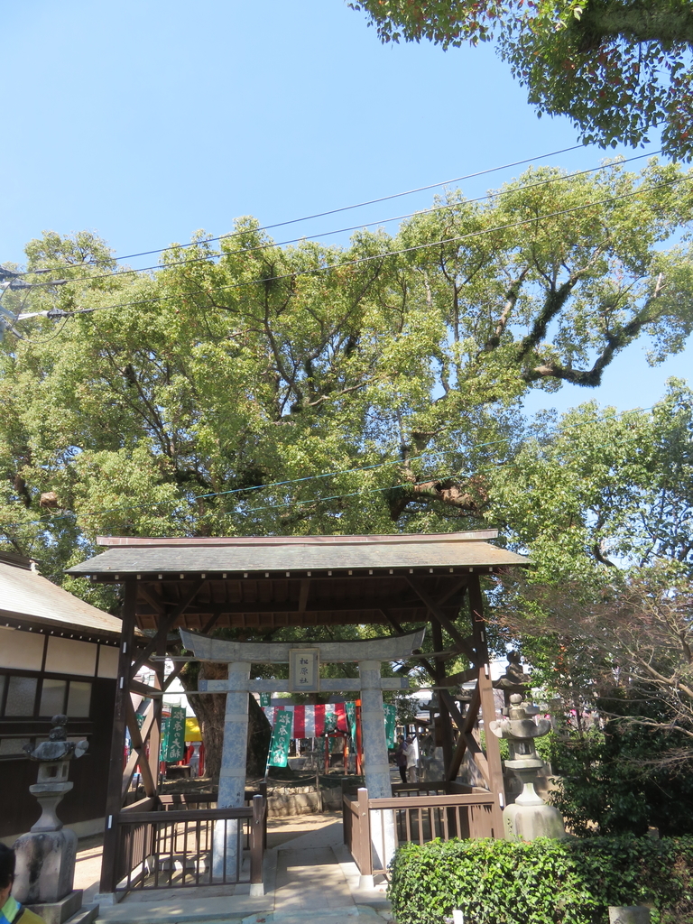 f:id:eiji-chan:20190313134226j:plain
