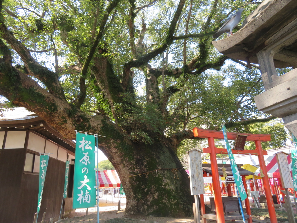 f:id:eiji-chan:20190313134320j:plain
