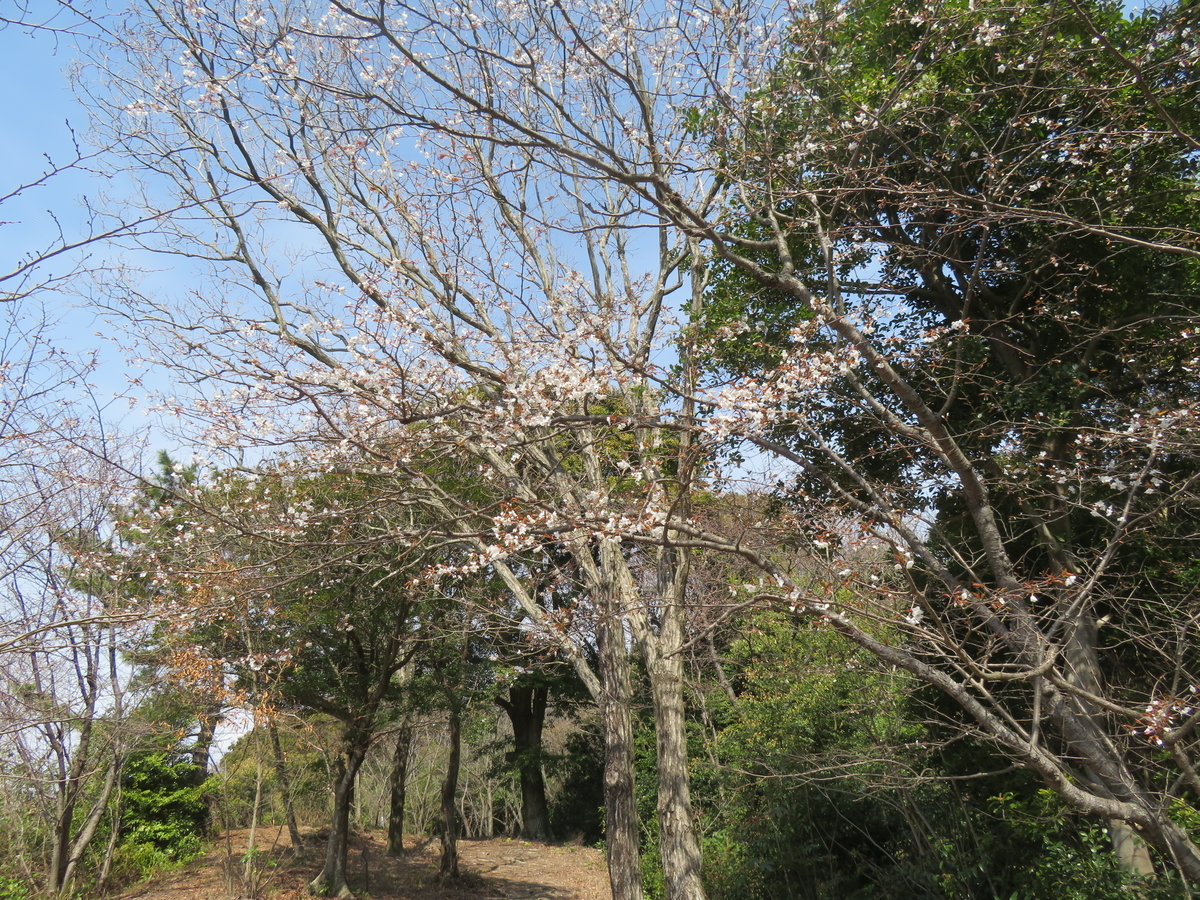 f:id:eiji-chan:20190315085903j:plain f:id:eiji-chan:20190315085903j:plain