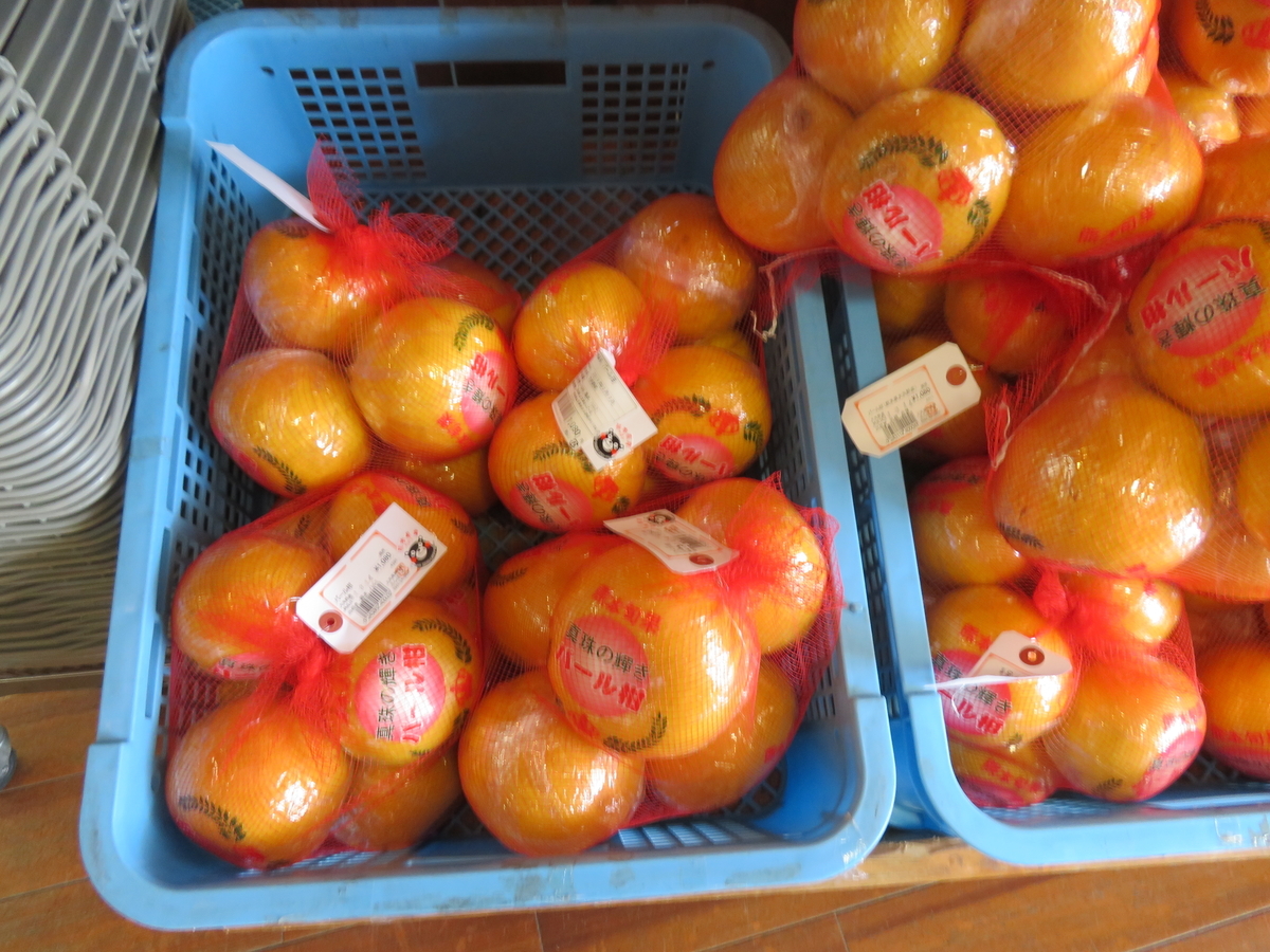 f:id:eiji-chan:20190315210748j:plain f:id:eiji-chan:20190315210748j:plain