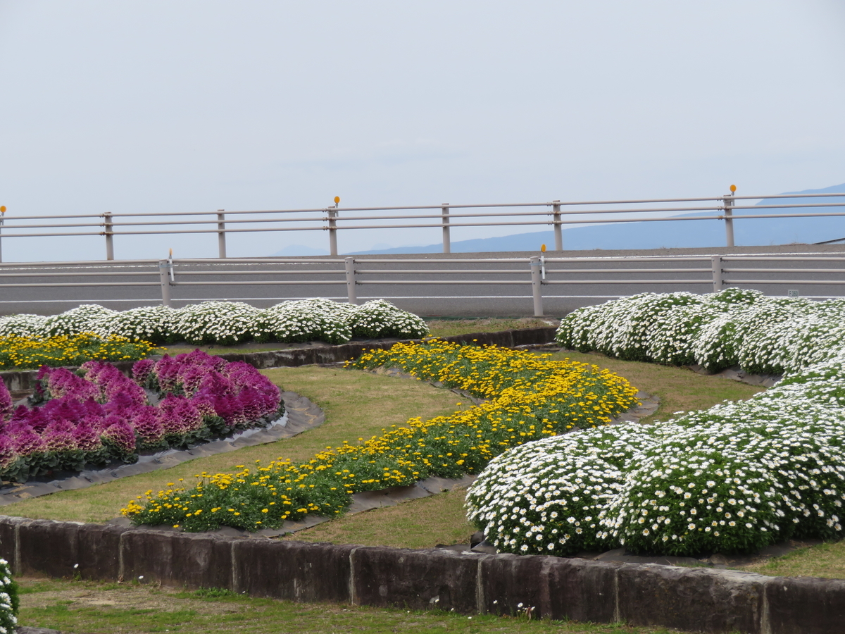 f:id:eiji-chan:20190315215812j:plain f:id:eiji-chan:20190315215812j:plain