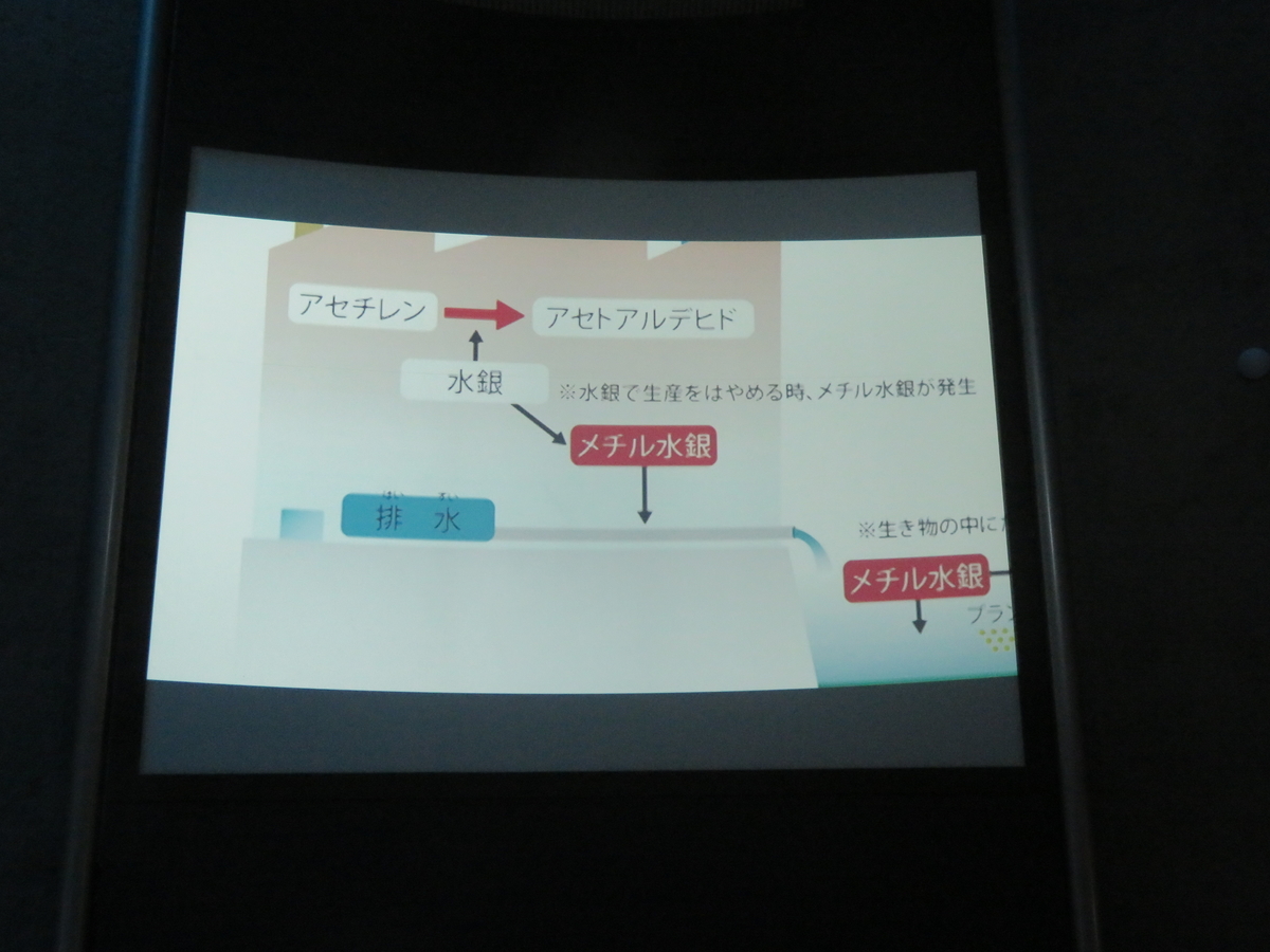 f:id:eiji-chan:20190316224844j:plain