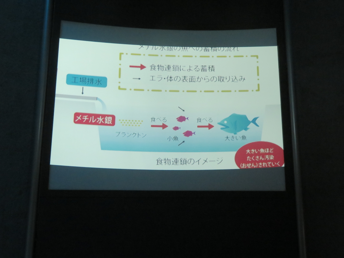 f:id:eiji-chan:20190316224948j:plain