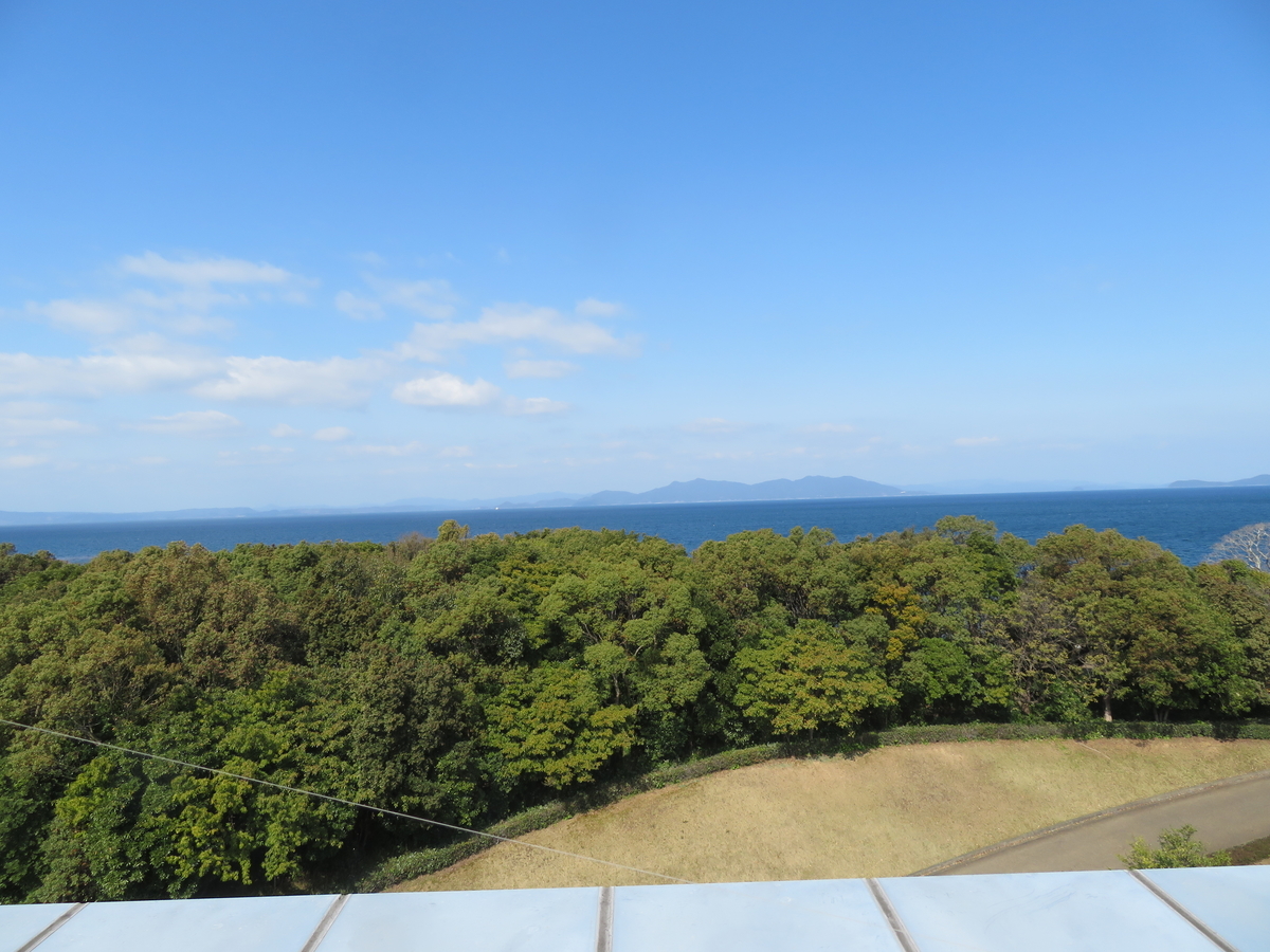 f:id:eiji-chan:20190317085349j:plain