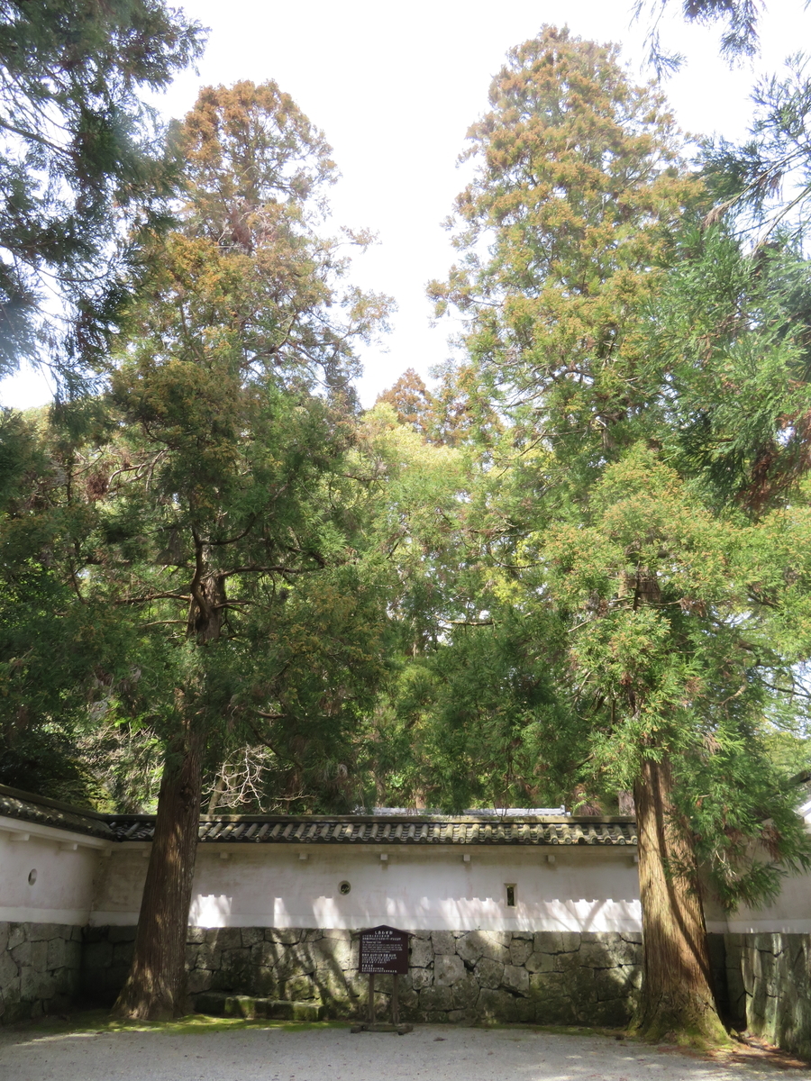 f:id:eiji-chan:20190322202153j:plain