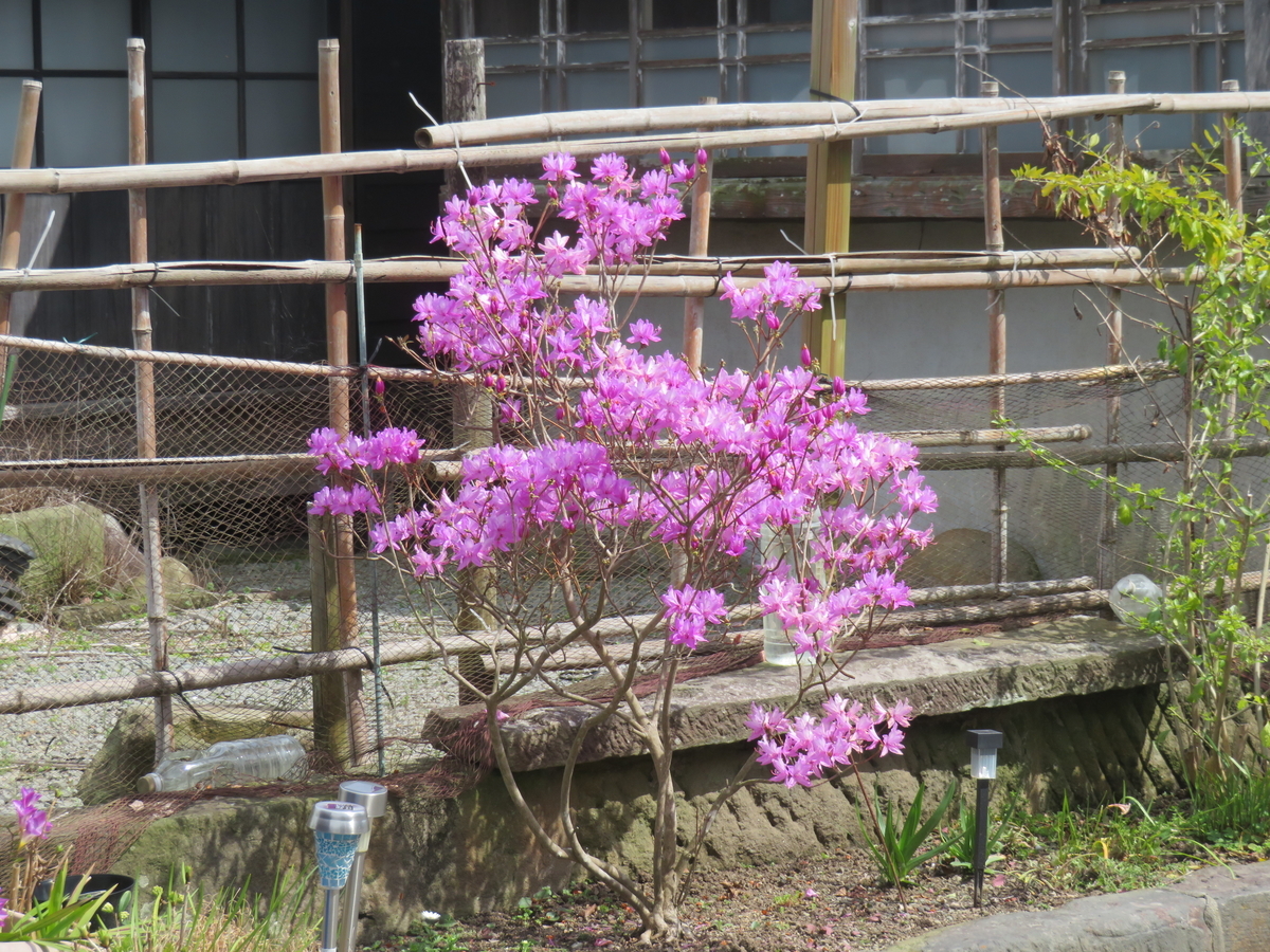 f:id:eiji-chan:20190323093619j:plain