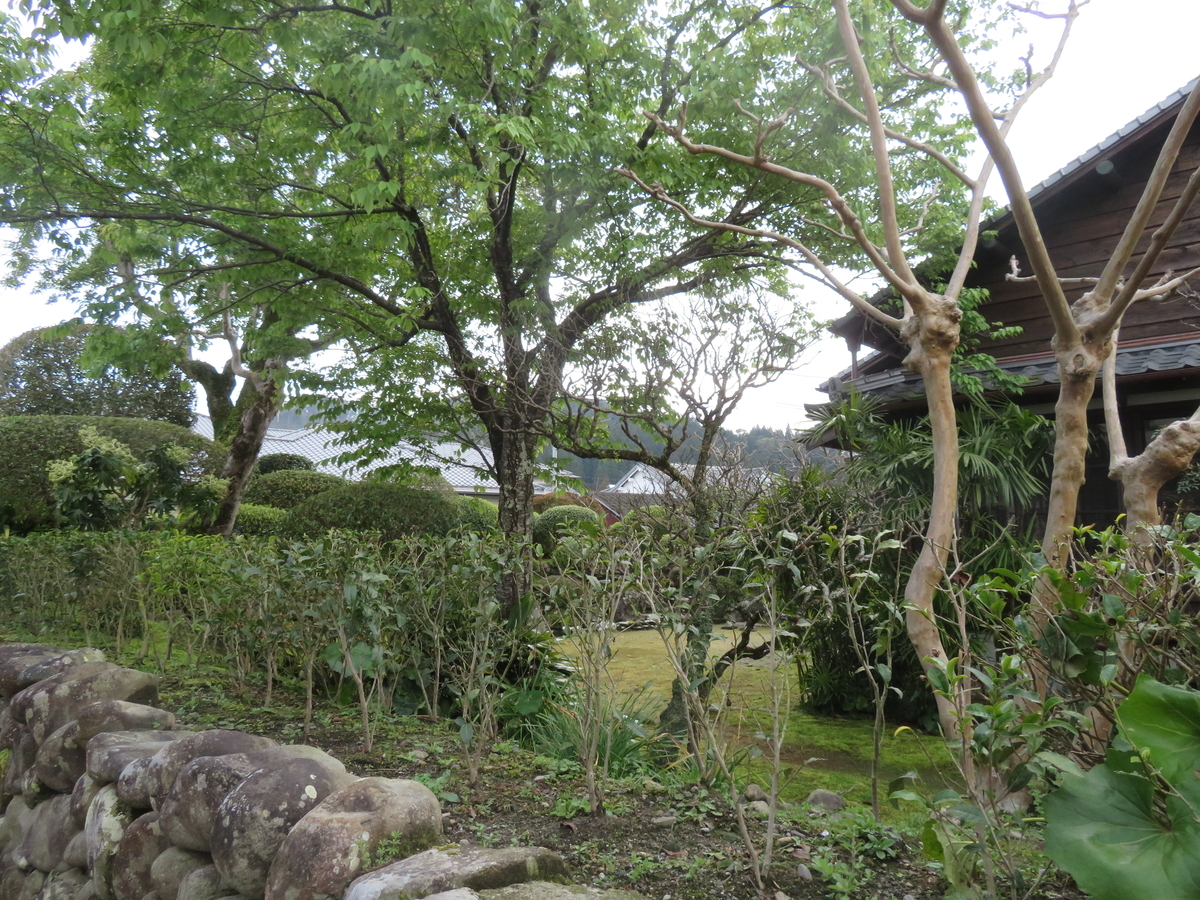 f:id:eiji-chan:20190323094735j:plain