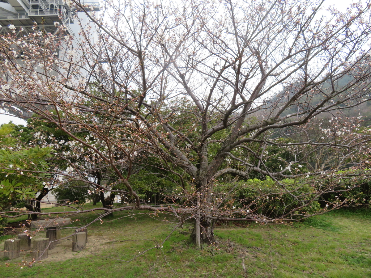 f:id:eiji-chan:20190403153631j:plain