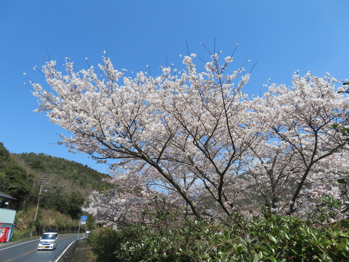 f:id:eiji-chan:20190405122733j:plain