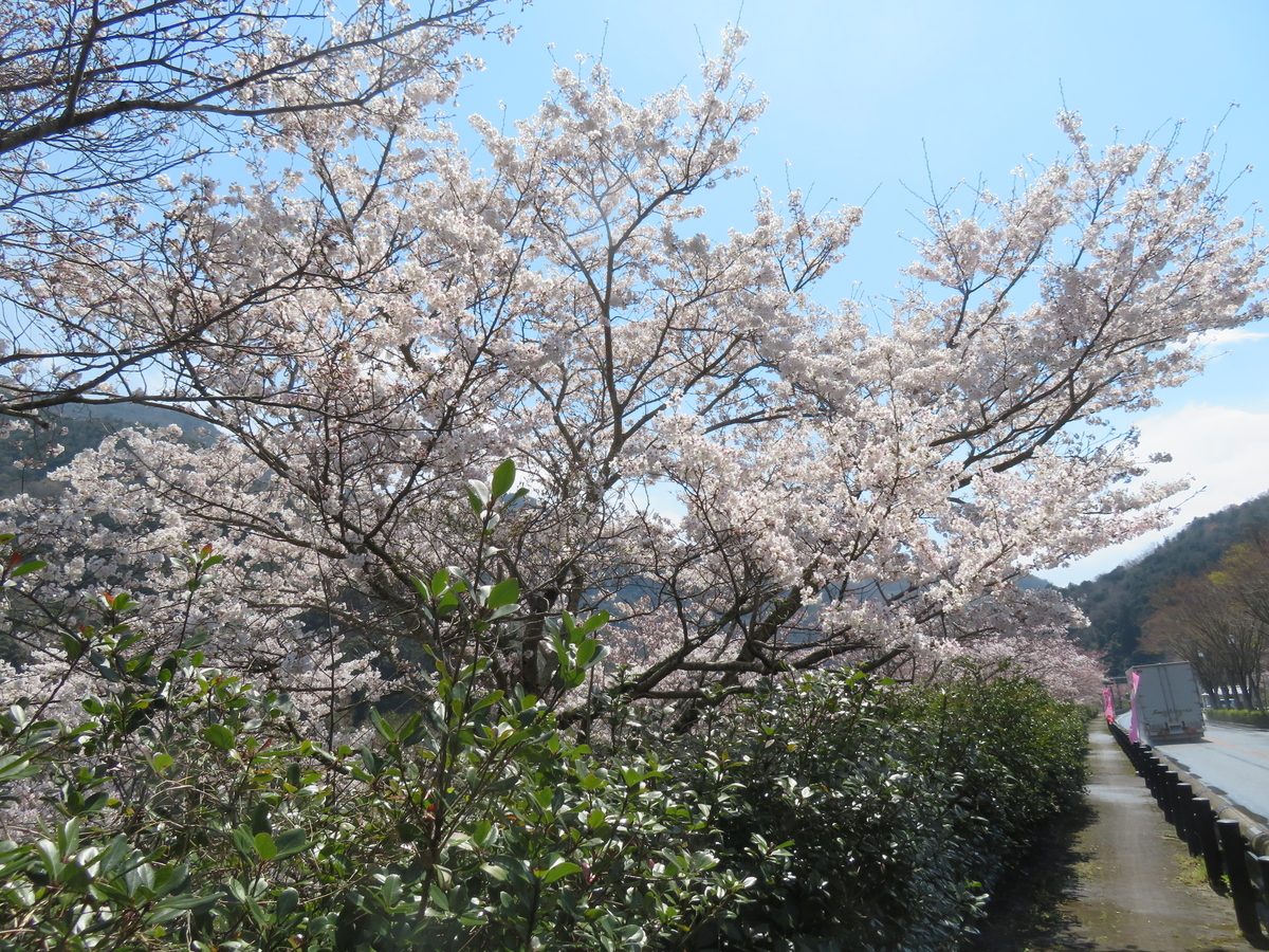f:id:eiji-chan:20190405122818j:plain
