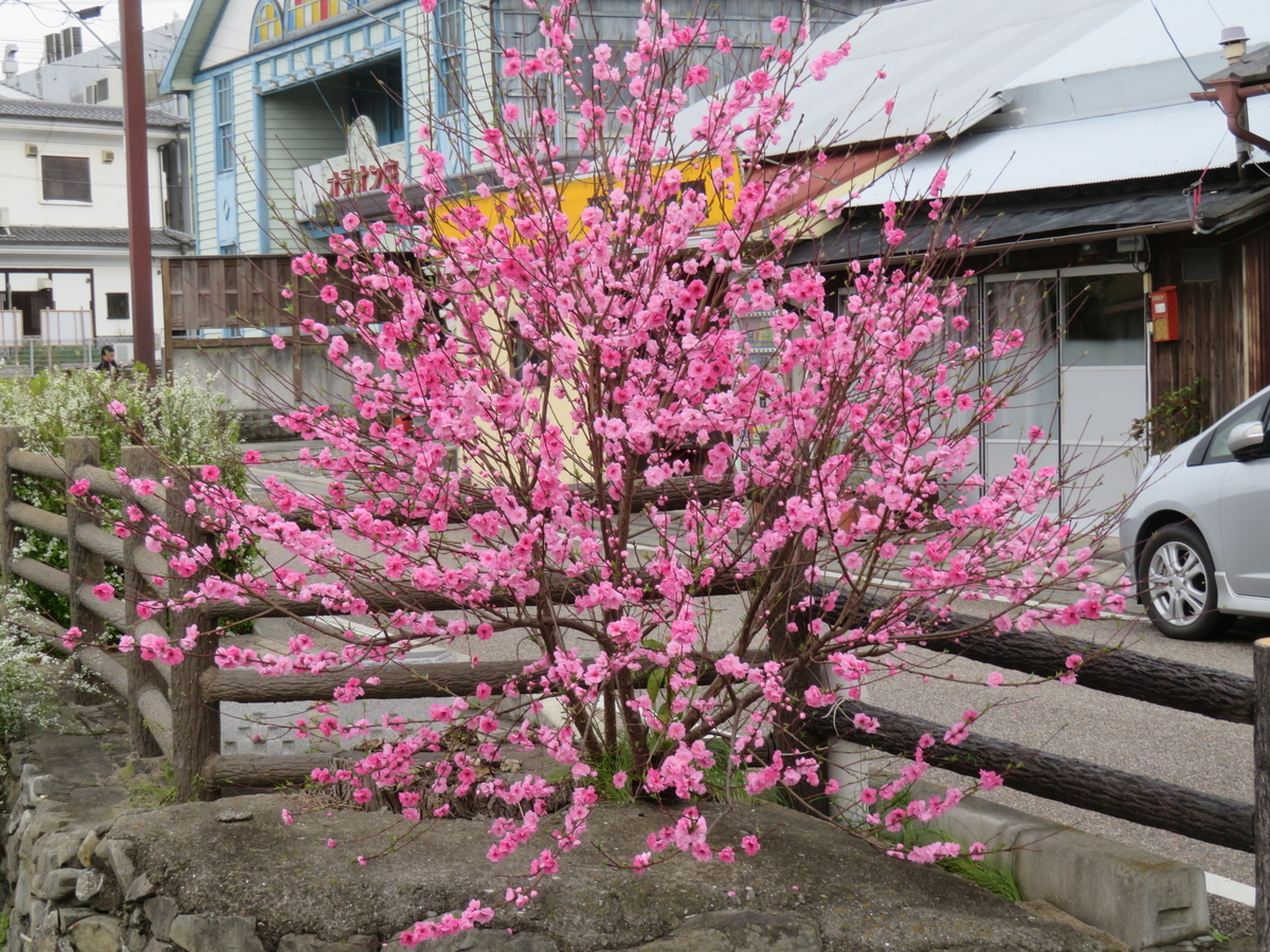 f:id:eiji-chan:20190405134528j:plain