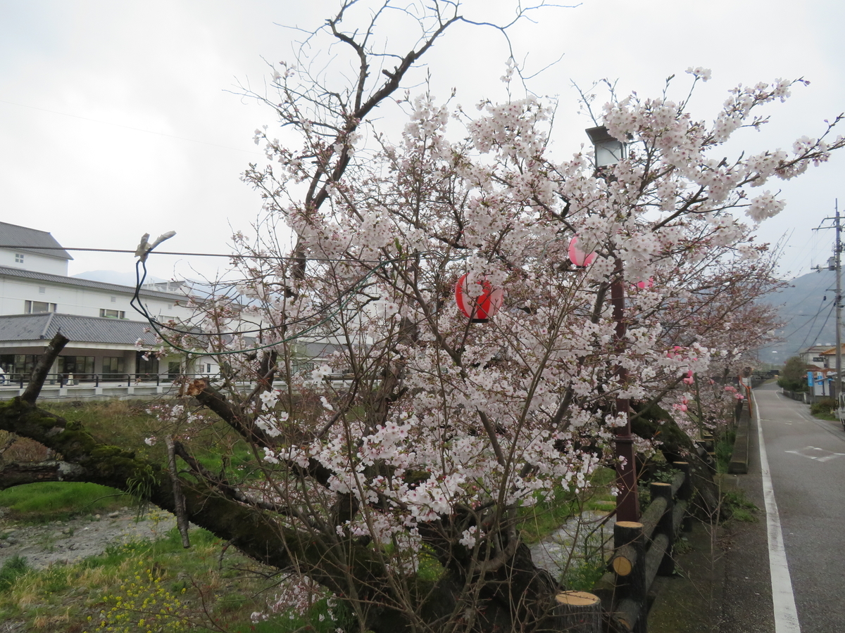 f:id:eiji-chan:20190405134724j:plain