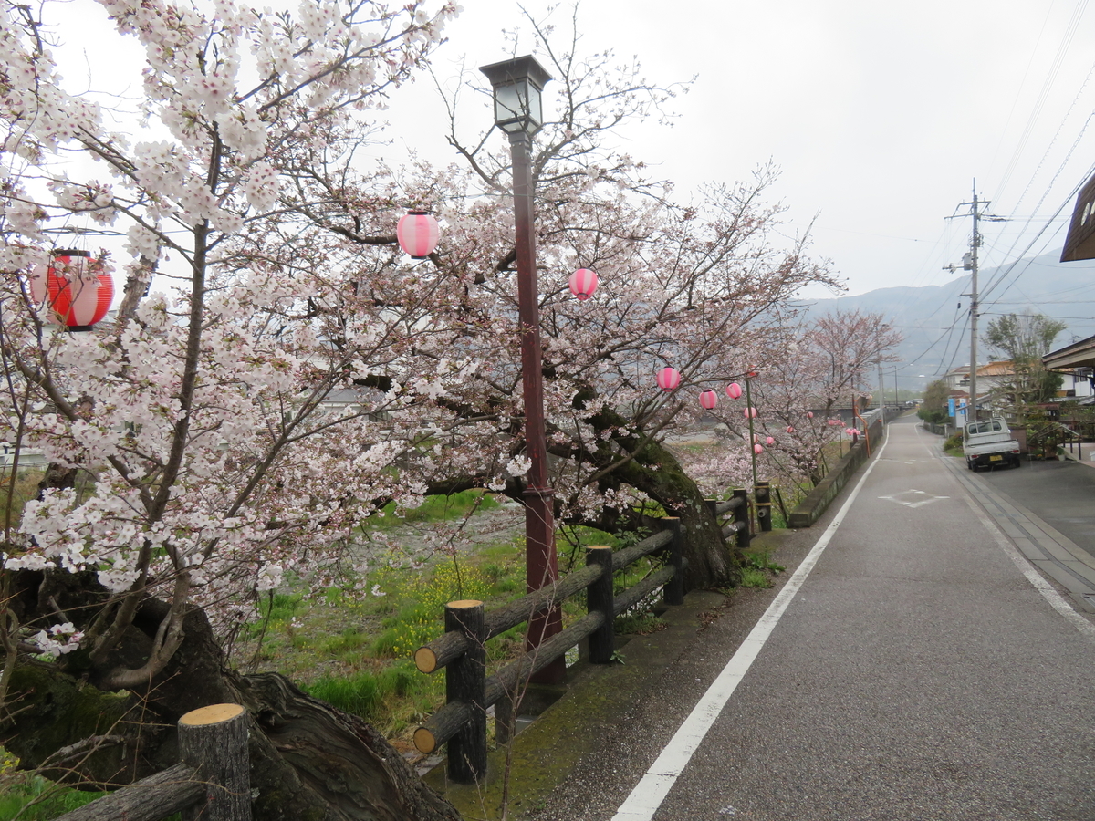 f:id:eiji-chan:20190405134955j:plain