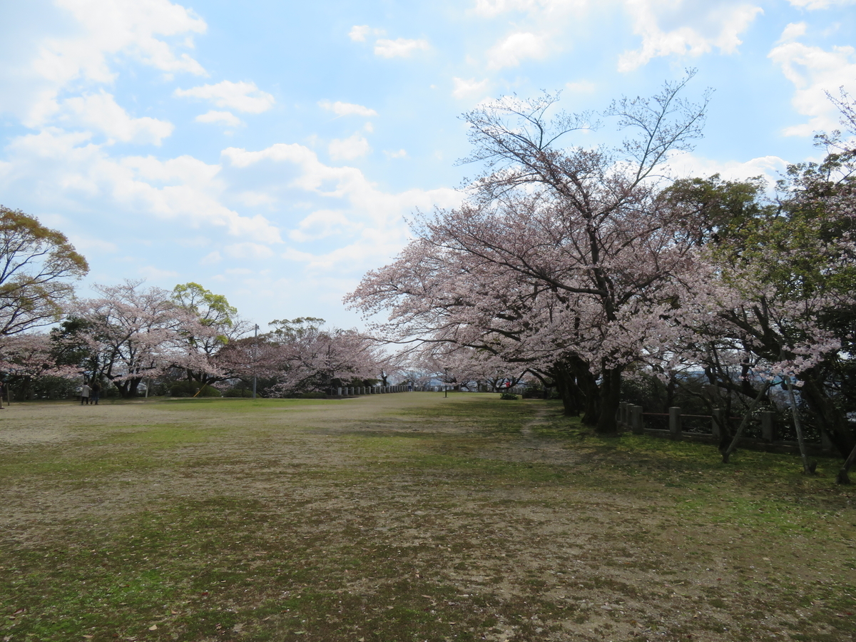 f:id:eiji-chan:20190405203400j:plain f:id:eiji-chan:20190405203400j:plain