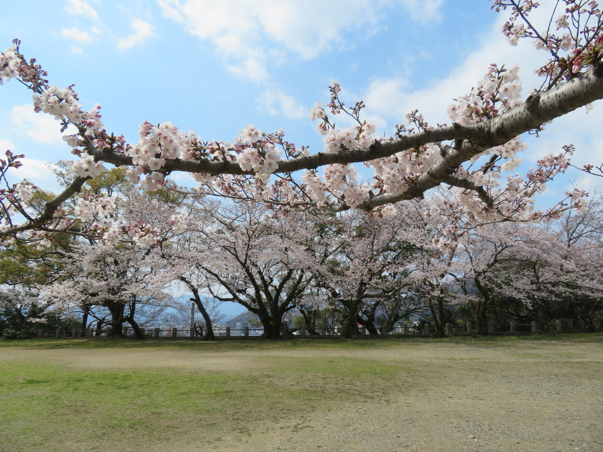 f:id:eiji-chan:20190405203446j:plain f:id:eiji-chan:20190405203446j:plain