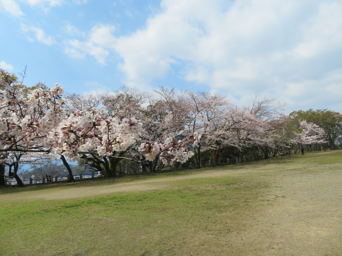 f:id:eiji-chan:20190405203533j:plain f:id:eiji-chan:20190405203533j:plain